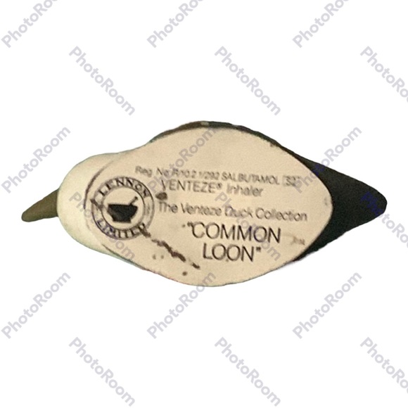 Handcrafted | Common Loon | Lennon Limited | Collectable - Picture 2 of 3
